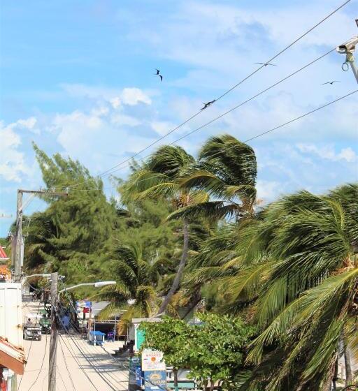 스탠다드 룸 킹사이즈 침대, Barefoot Caye Caulker