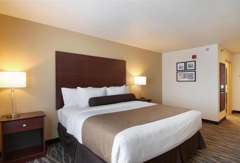 带大床的标准间, Cobblestone Inn & Suites   Menomonie/uw Stout