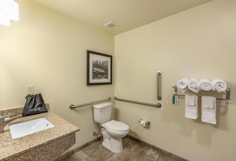 适合残疾人士使用的带超级大床的标准间, Cobblestone Inn & Suites   Menomonie/uw Stout