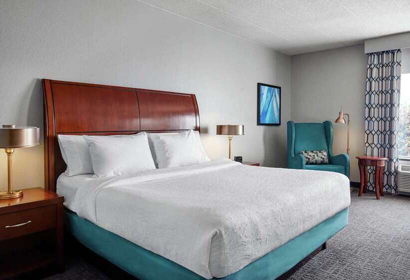 اتاق استاندارد با تخت بزرگ, Hilton Garden Inn Chihuahua