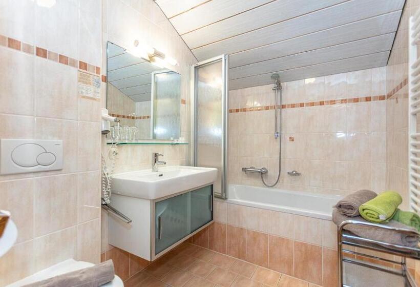 Номер Стандарт, Pension Lackenbauer