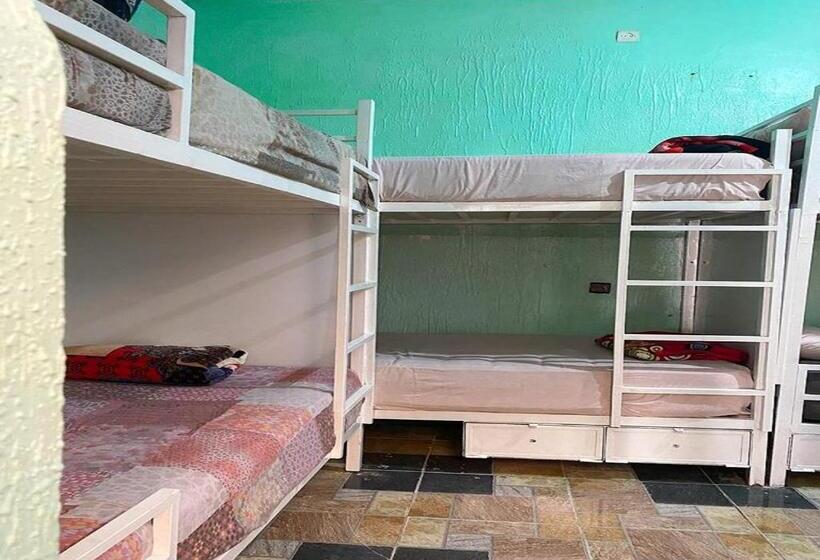 تختخواب در اتاق مشترک, Kasbah Red Castel Hostel
