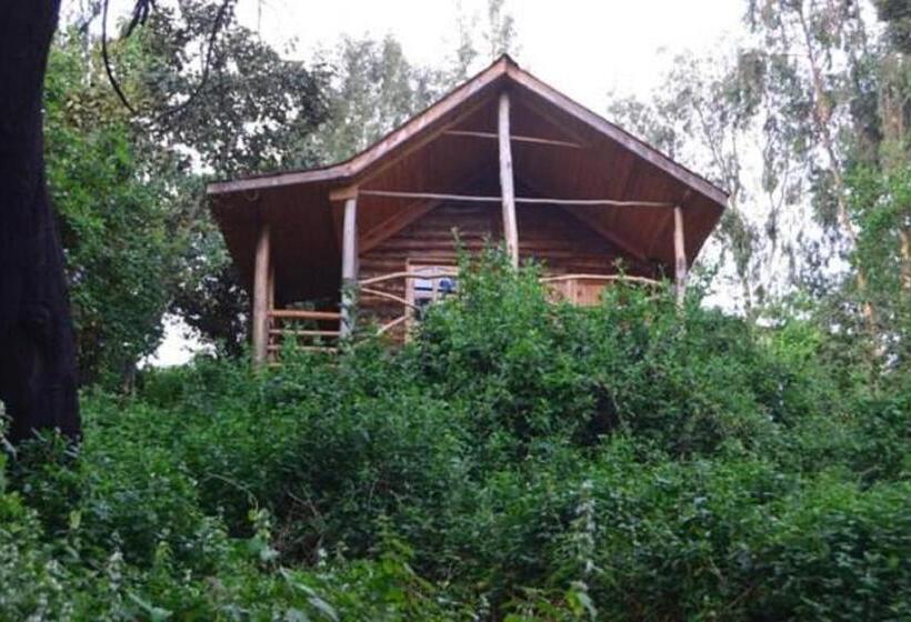 اتاق اکونومی, Lake Bunyonyi Eco Resort