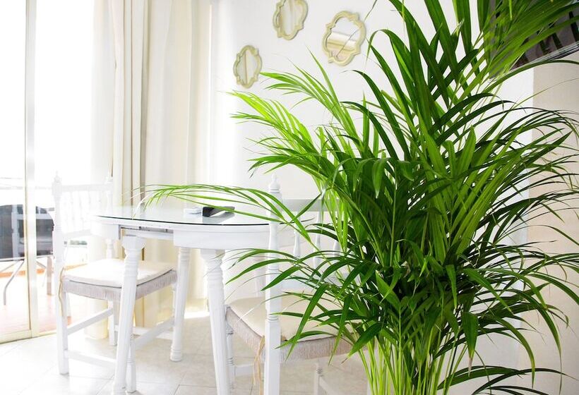 スタンダードスタジオ, Apartamentos Apal Chinasol