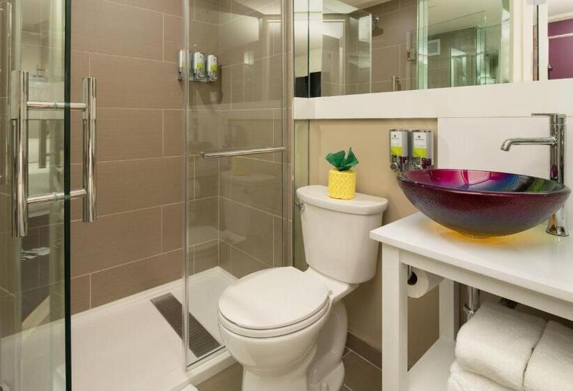 스위트, Staypineapple, An Artful Hotel, Midtown New York