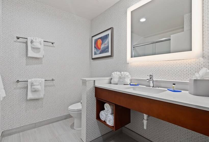 Номер Стандарт, Holiday Inn Express & Suites Orlando  Lake Buena Vista, An Ihg