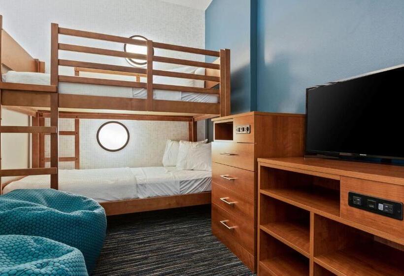Люкс Кровать Кинг, Holiday Inn Express & Suites Orlando  Lake Buena Vista, An Ihg
