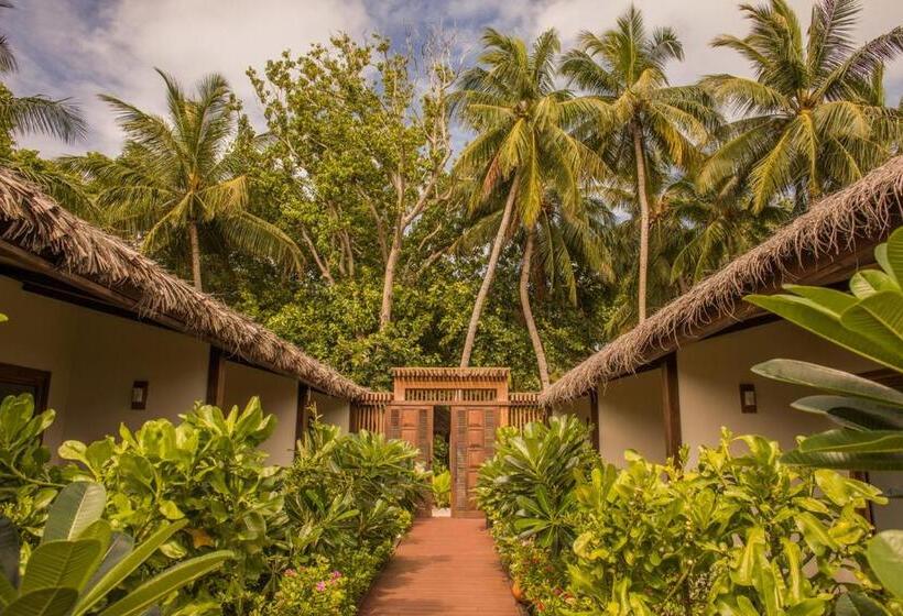 اتاق سوپریور یک تخته, Plumeria Maldives