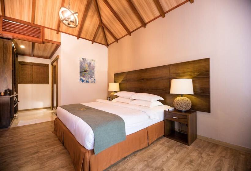 اتاق سوپریور یک تخته, Plumeria Maldives