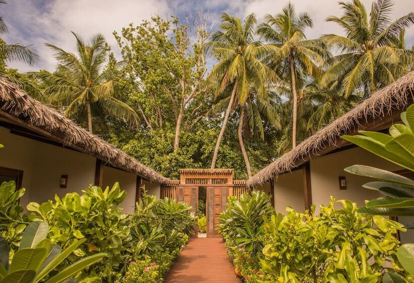 اتاق استاندارد یک نفره, Plumeria Maldives