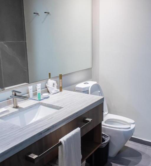 プレミアムスイート, Radisson Hotel Monterrey San Jeronimo