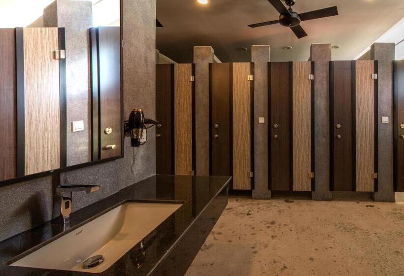 تختخواب در اتاق مشترک, The Twizt   Lifestyle Hostel &