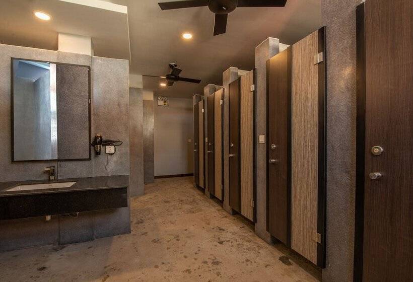 تختخواب در اتاق مشترک, The Twizt   Lifestyle Hostel &