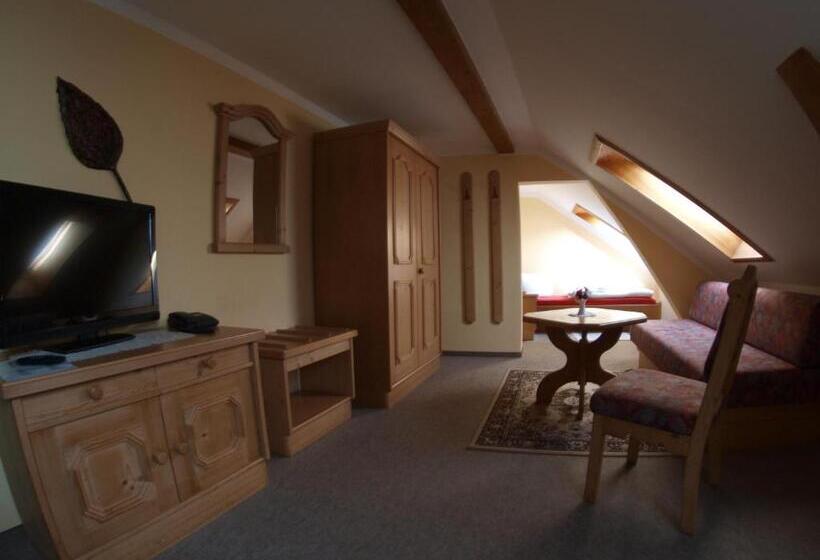 اتاق استاندارد یک نفره, Gasthof Zur Schweiz