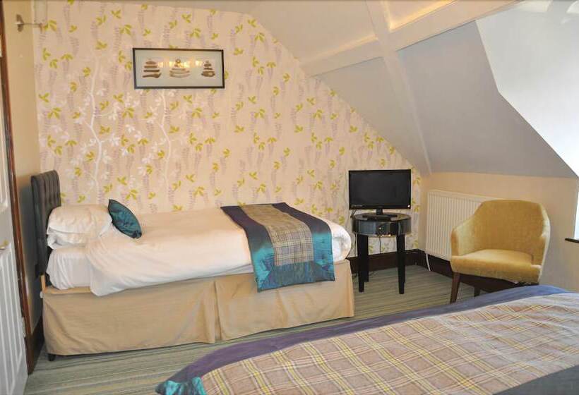 Номер Deluxe, Llety Teifi Guest House