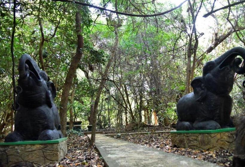 经济房, Akein Jungle Resort   Sigiriya