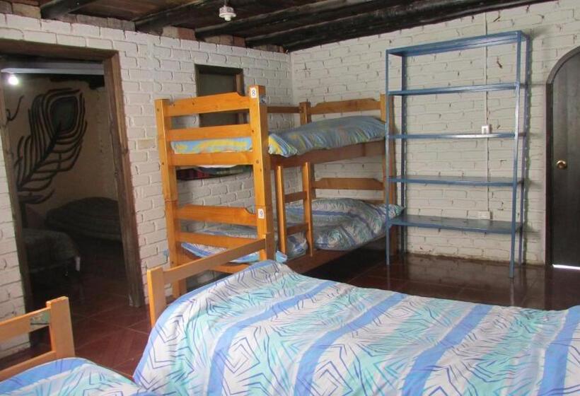 Семейный Номер Deluxe, Finca San Pedro  Alojamiento Campestre Y Reserva Natural