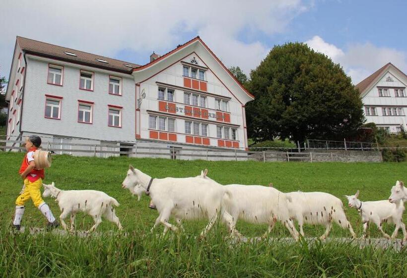 اتاق استاندارد با چشم‌انداز کوهستان, Gasthaus Bären Schlatt
