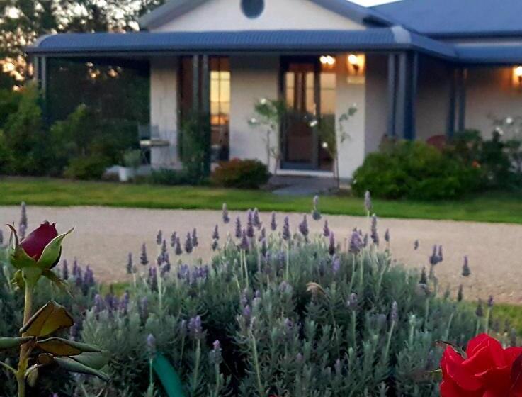 디럭스 스위트, Red Door Collective   Rdc Vineyard Estate, Luxury Adult Only Stay