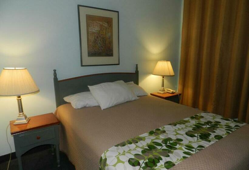 Номер Стандарт, L'auberge De L'aeroport Inn