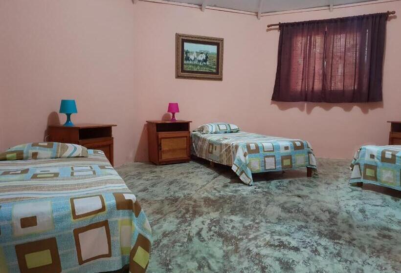 מיטה בחדר משותף, Gipsy Ranch Rooms