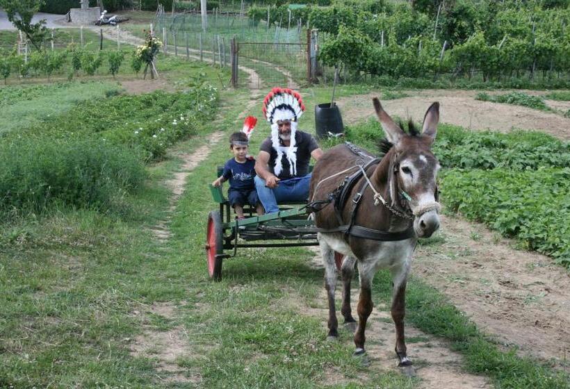 침실 1개 아파트, Agriturismo Podere La Fornace