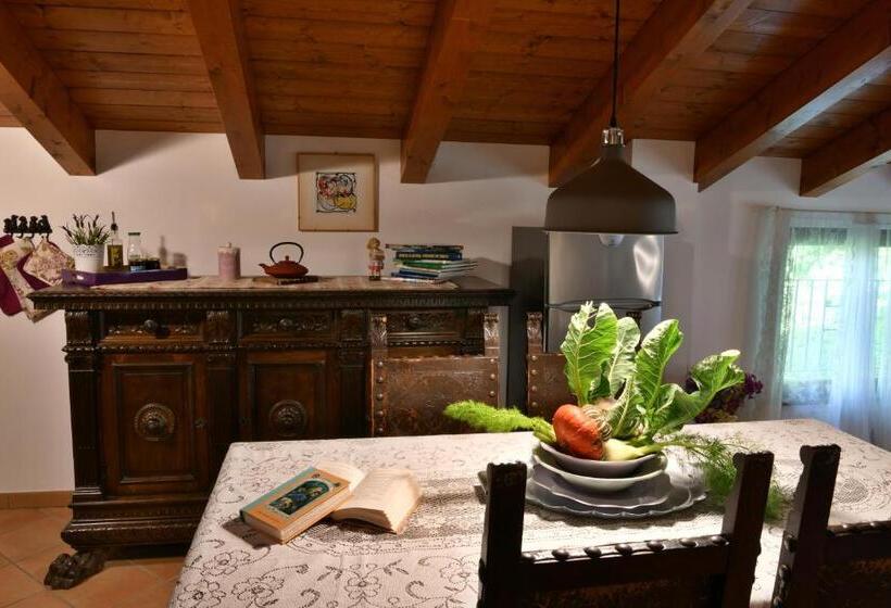 إستوديو كلاسيكى, Il Laghello Di Amina