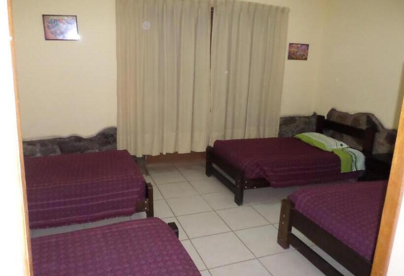 سرير فى غرفة مشتركه, Okidoki Cusco Hostal