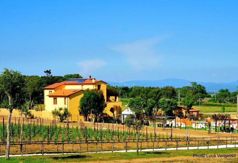 Апартаменты 1 Спальня Нижний Этаж, Cascina Al Colle