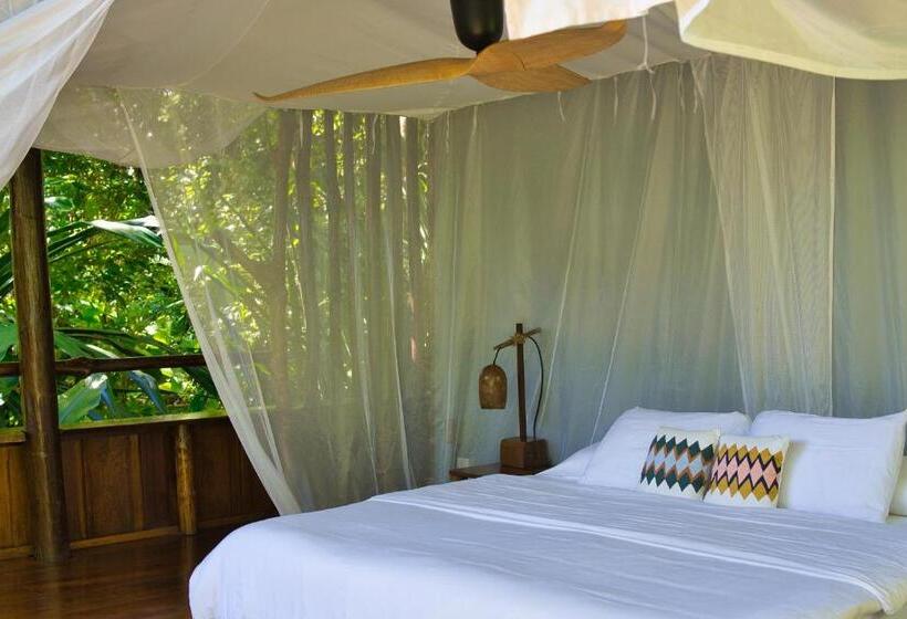 בקתה סטנדרטית, La Loma Jungle Lodge And Chocolate Farm
