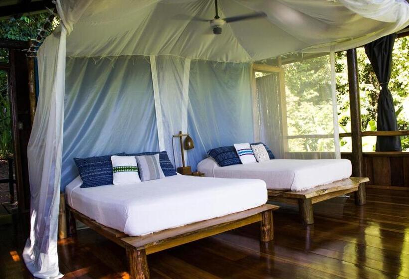 בקתה סטנדרטית, La Loma Jungle Lodge And Chocolate Farm