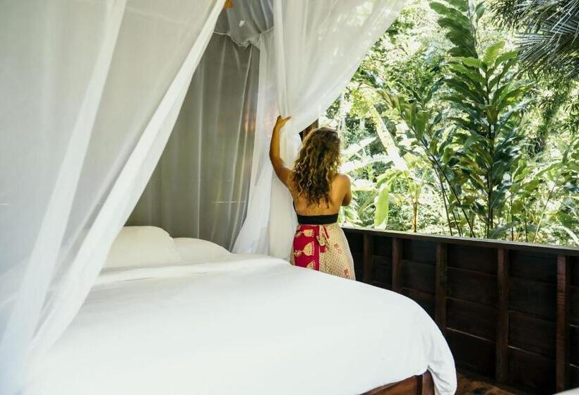 סוויטת ג'וניור נוף לגינה, La Loma Jungle Lodge And Chocolate Farm