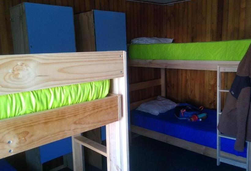 سرير فى غرفة مشتركه, Islanet Hostel & Bar