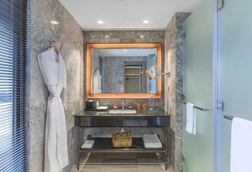 Номер Deluxe Вид на Город, Gran Melia Arusha