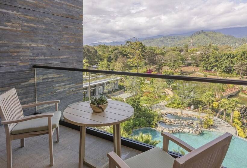 Номер Deluxe с Видом, Gran Melia Arusha