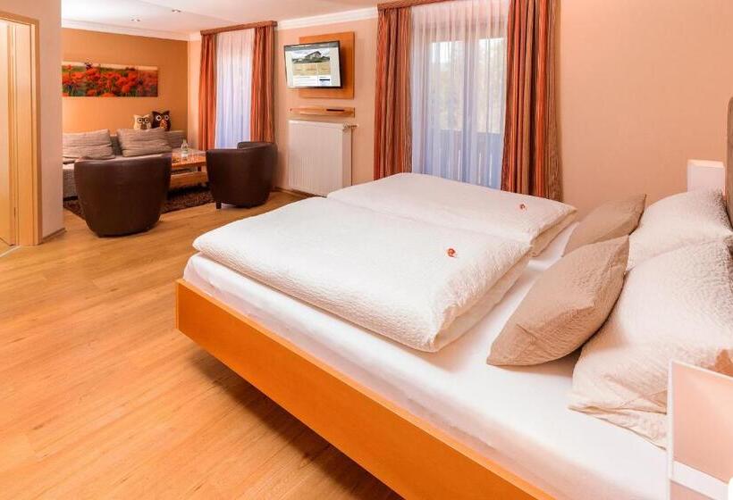 Номер Стандарт, Pension Silberbauer