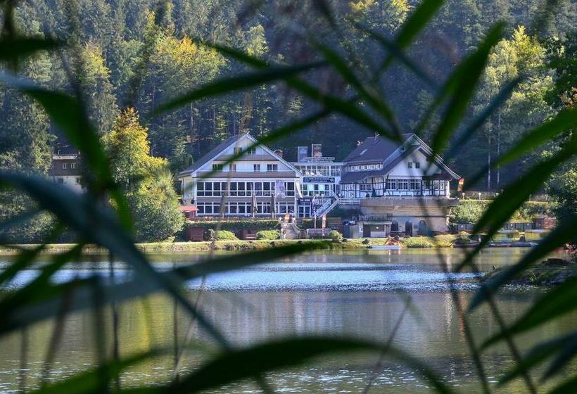 标准间, Reich Am Ebnisee