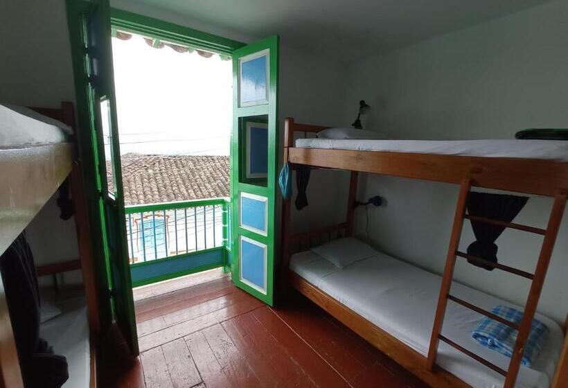 تختخواب در اتاق مشترک, Bidea Backpackers Hostel