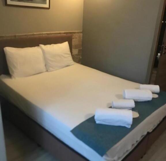 Трежместный Номер Economy, Elit Hotel Saray
