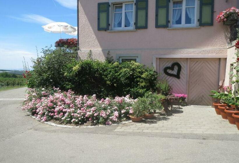 스탠다드 룸, Gästehaus Frohe Aussicht