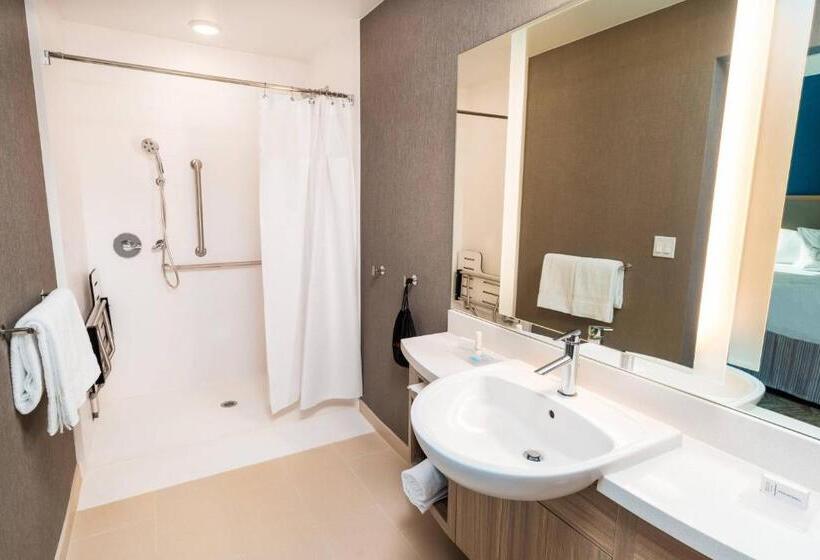 Люкс Кровать Кинг, Springhill Suites By Marriott Newark Fremont