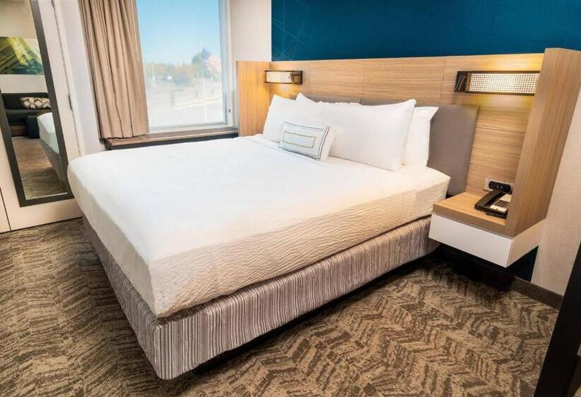 Люкс Кровать Кинг, Springhill Suites By Marriott Newark Fremont