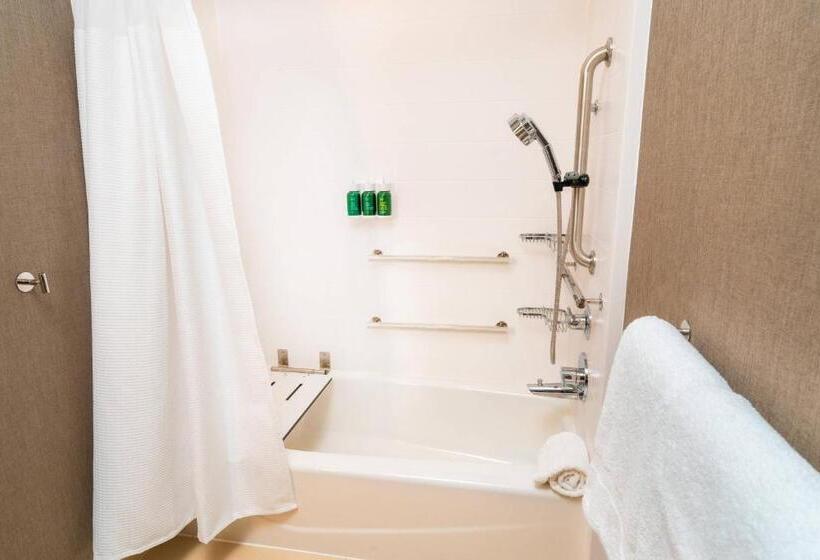 Люкс, Springhill Suites By Marriott Newark Fremont