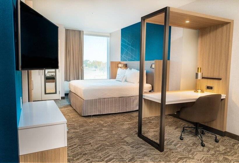 Люкс, Springhill Suites By Marriott Newark Fremont