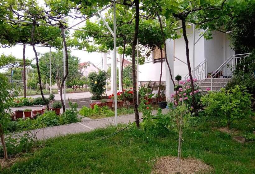 تختخواب در اتاق مشترک, Hostel Olea