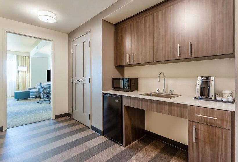 Люкс Адаптированный для Инвалидов, Holiday Inn & Suites Cedar Falls Waterloo Event Ctr, An Ihg