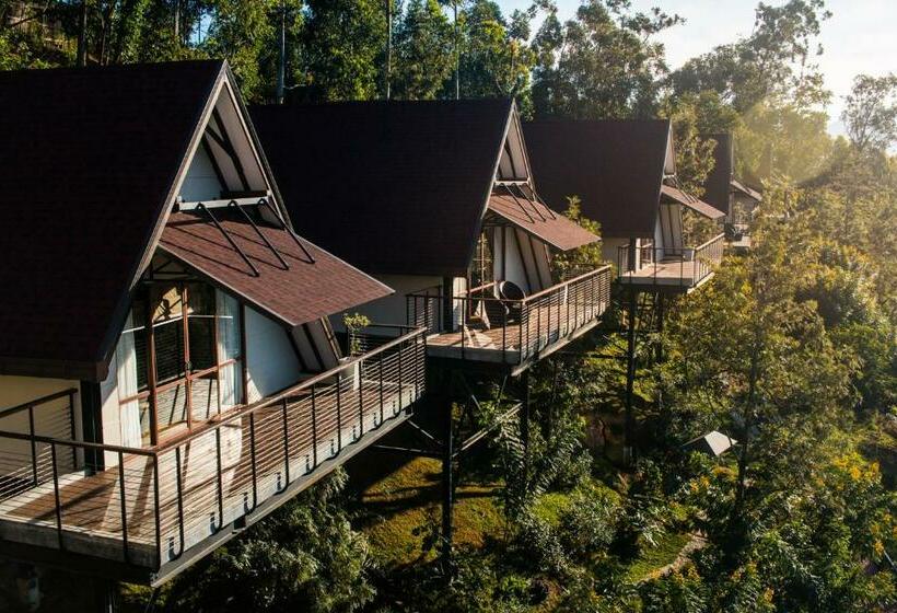 Шале 1 Спальня, Anasa Wellness Resort