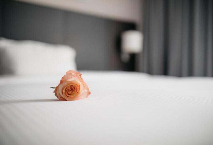 Standaardkamer Aangepast voor Gehandicapten, Iip Apartments