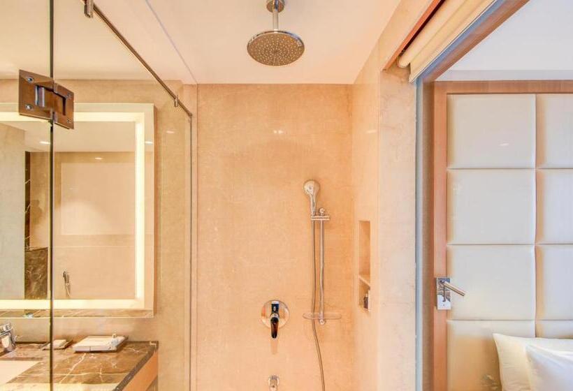 Номер Стандарт, Radisson Blu Gorakhpur