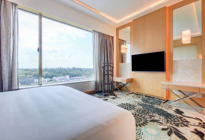 Люкс, Radisson Blu Gorakhpur